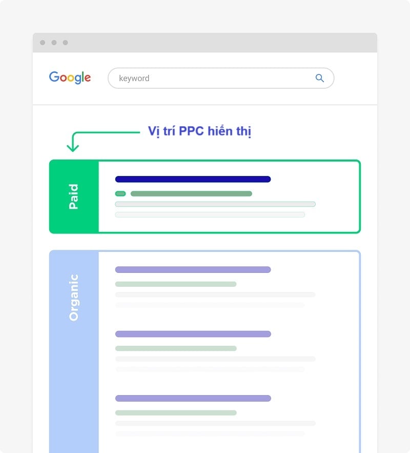 Vị trí PPC hiển thị