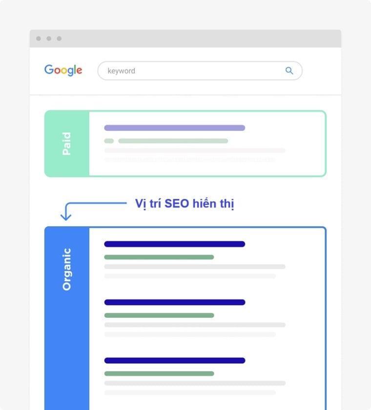 Vị trí hiển thị của SEO